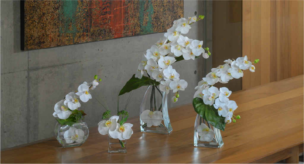 新定番の贈り花「胡蝶蘭 特集」|エミリオ・ロバ公式オンラインストア