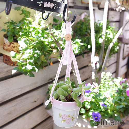 イマン ダイアナローズ ミニプランター【イマン、マニーと薔薇の雑貨の