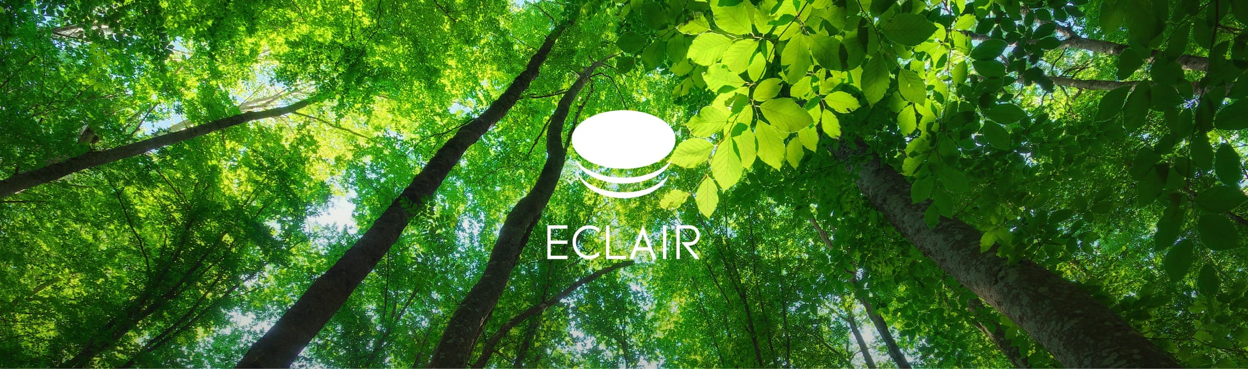 低濃度オゾンと共存した安心できる生活環境実現を目指しています