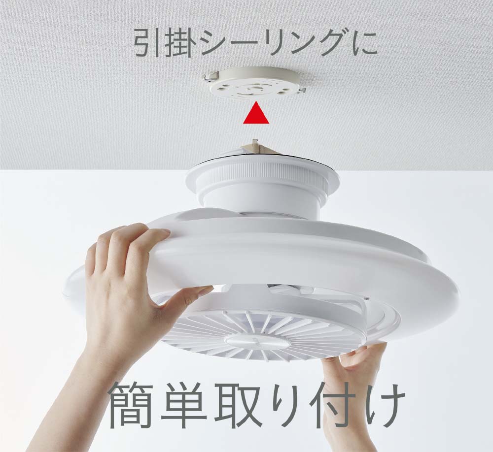 ドウシシャ DCCSW08EC ～8畳用 サーキュライト スイングモデル EZ