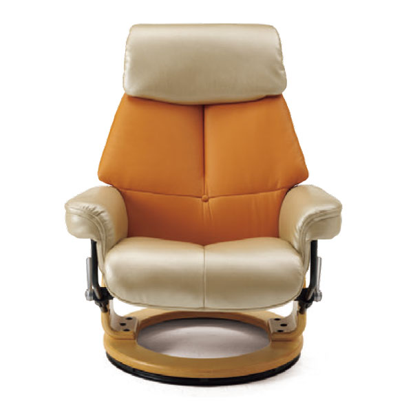 リクラ リクライニングチェア｜医療介護椅子｜E家具