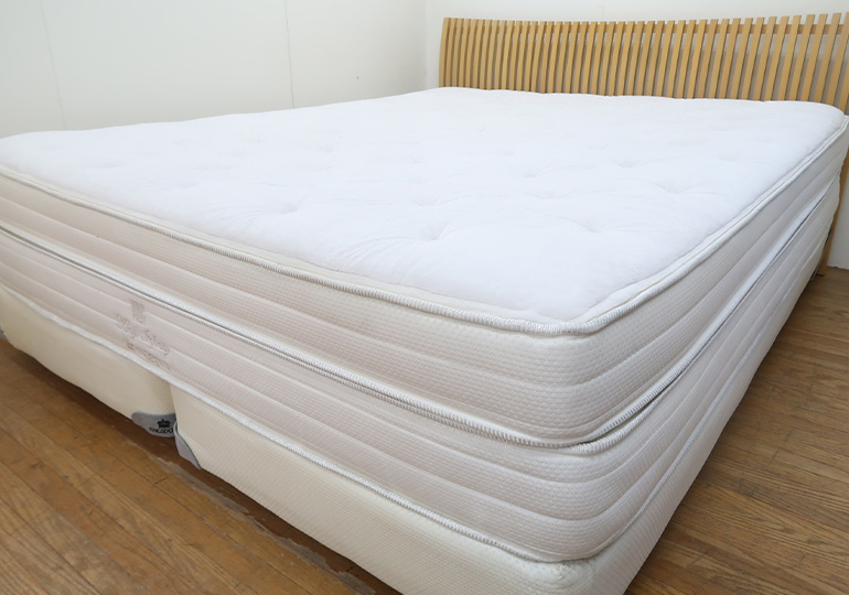 レガリア・キングスダウン（KINGS DOWN）・ロイヤルセレニティ-・セミ