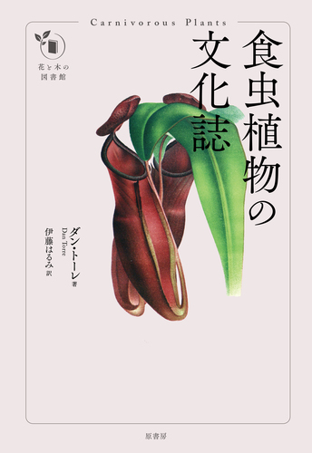 食虫植物の文化誌 | ダン・トーレ,伊藤 はるみ | 絵本ナビ：レビュー・通販