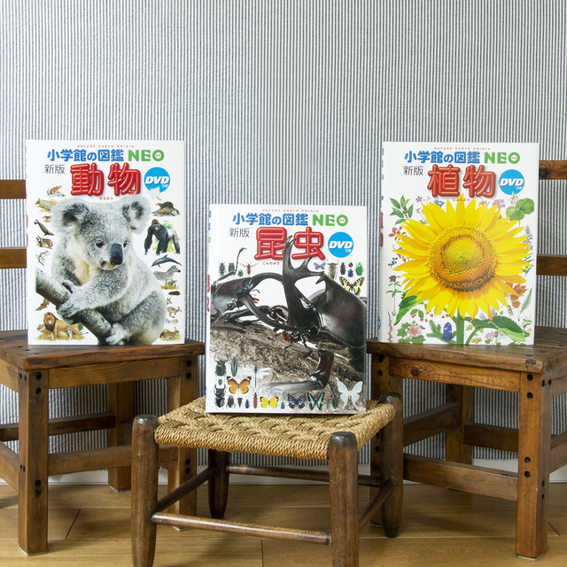 送料無料）「小学館の図鑑NEO」セレクトセット（ギフトラッピング込み