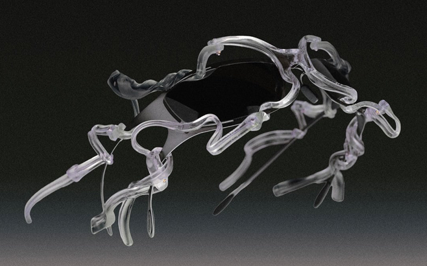 CAZAL(カザール)日本総代理店｜エイトオプティク