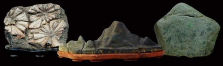 菊花石や鑑賞石買取は愛知名古屋の永寿堂へ｜愛知名古屋の骨董品買取は