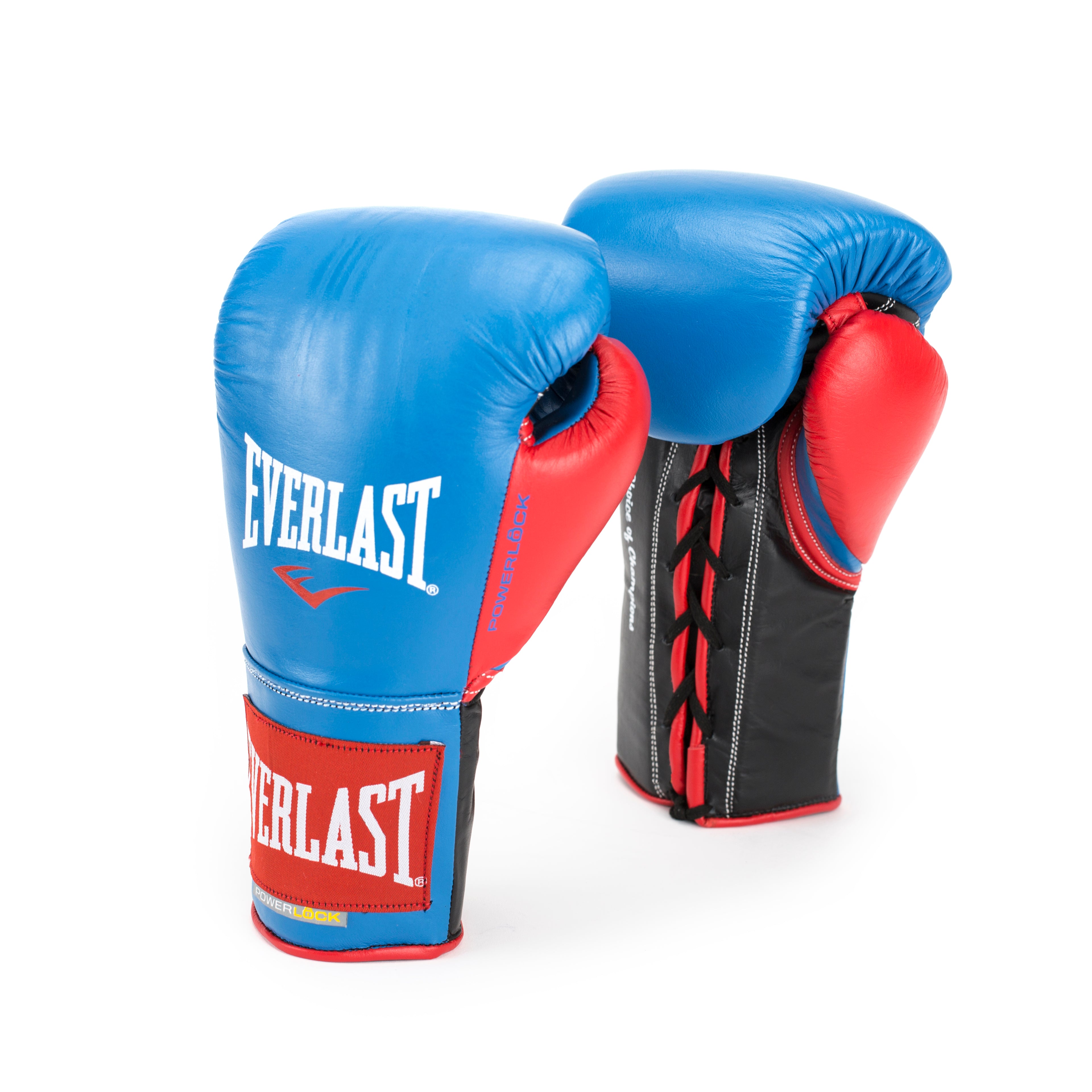 Powerlock Fight Gloves 10oz XL – Everlast