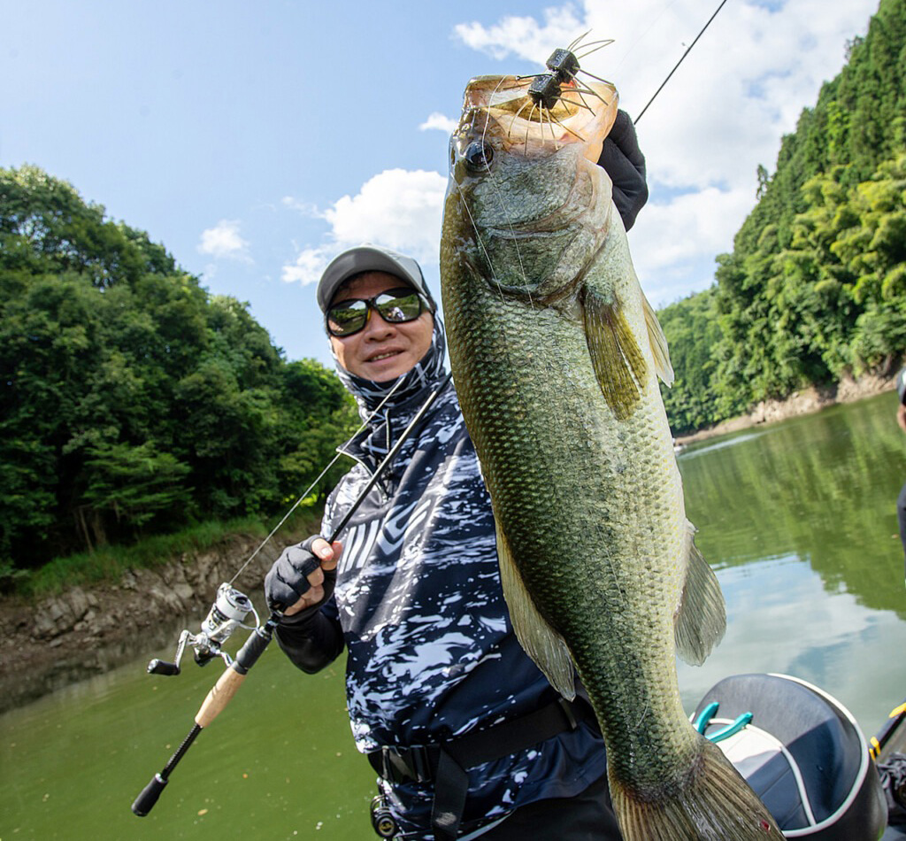 EVERGREEN（エバーグリーン インターナショナル） - TKSS-64ML ビー