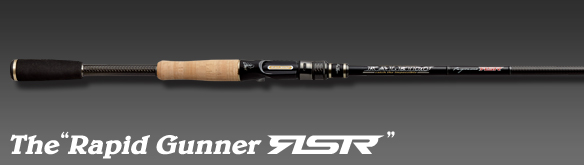 EVERGREEN（エバーグリーン インターナショナル） - RSR-C70XHX