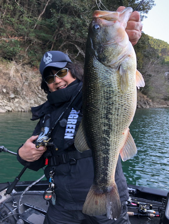 EVERGREEN（エバーグリーン インターナショナル） - OCSC-69H