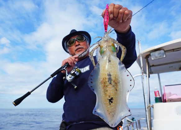 EVERGREEN（エバーグリーン インターナショナル） - NIMS-63XUL/LST