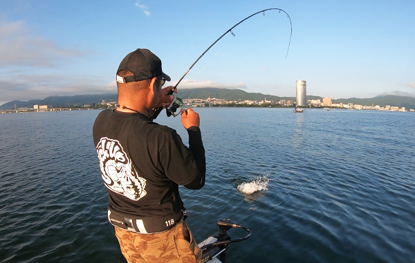 EVERGREEN（エバーグリーン インターナショナル） - PCSS-65L+