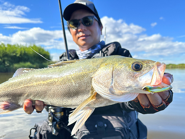 EVERGREEN（エバーグリーン インターナショナル） - ZAGS-96ML/M+