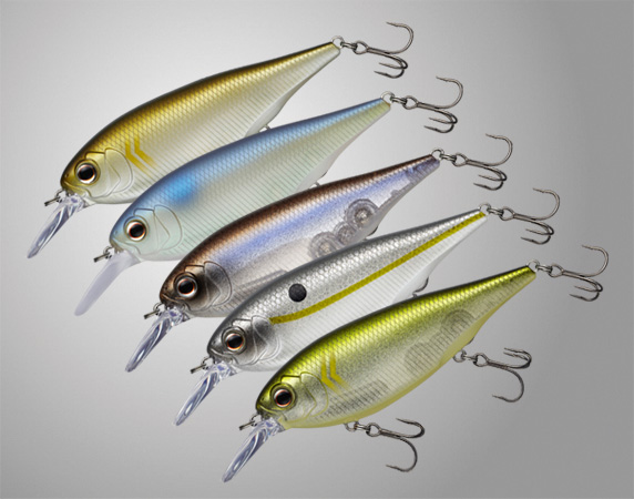 EVERGREEN（エバーグリーン インターナショナル） – 新製品情報 バス