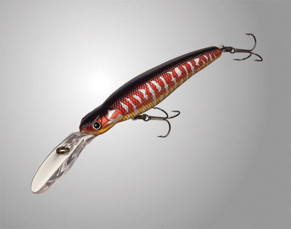 EVERGREEN（エバーグリーン インターナショナル） – 新製品情報 バス