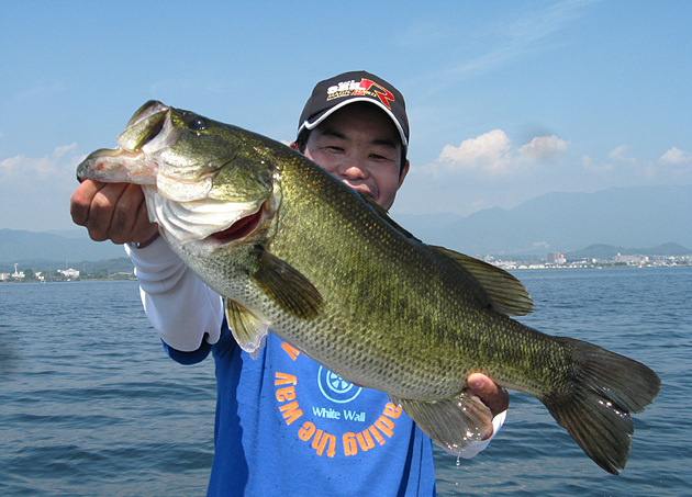 EVERGREEN（エバーグリーン インターナショナル） – ヘラクレス