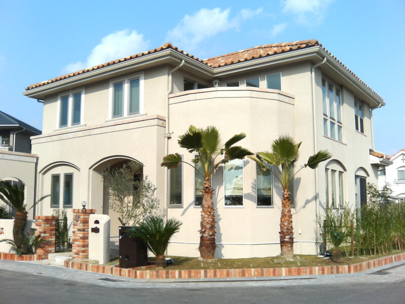 ワシントンヤシ｜Fgreen