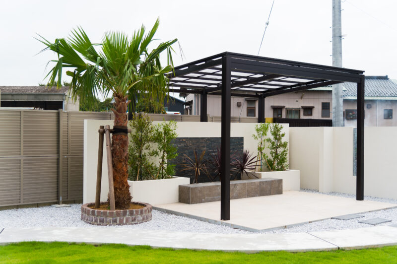 ワシントンヤシ｜Fgreen