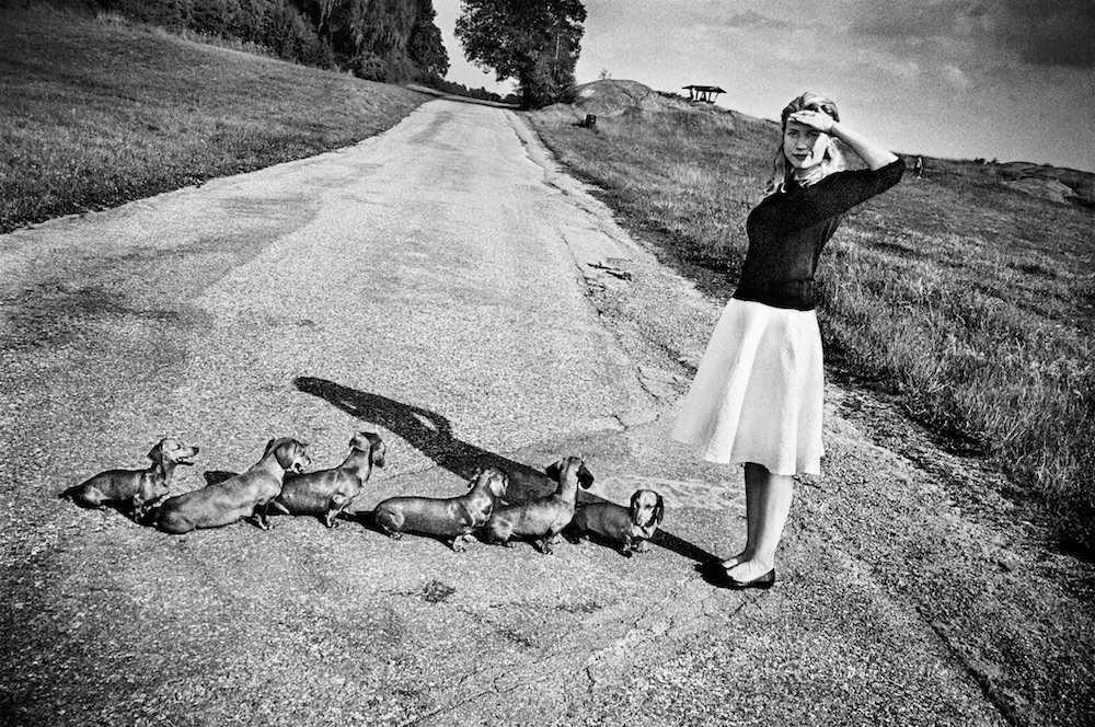 Immersion Photography Workshops with Anders Petersen, 2020