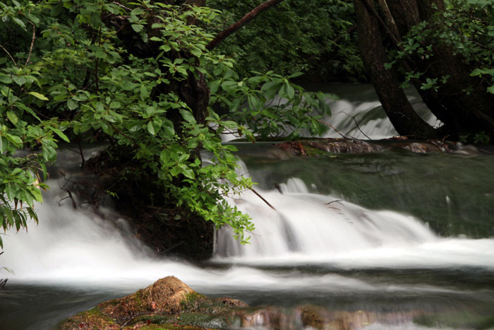 鳥海山にブナを植え、ブナに学ぼう！ | あきた森づくり活動サポート
