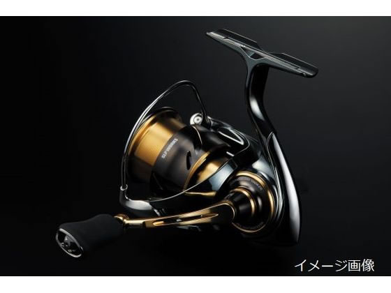 SLPW EX LT4000S スプール2 通販【フォレストウェイ】