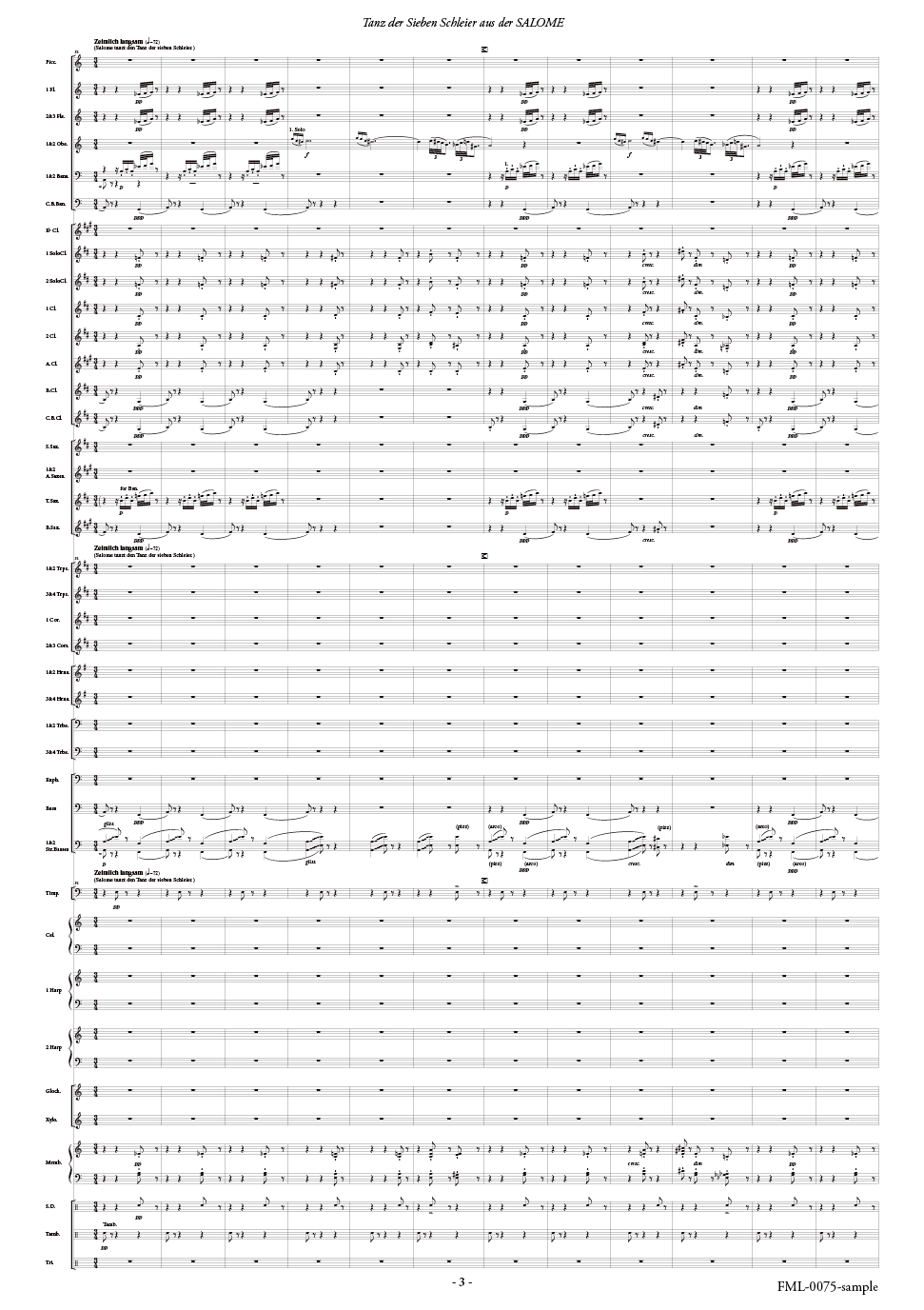 楽劇「サロメ」より7つのヴェールの踊り：シュトラウス arr. 齋藤淳