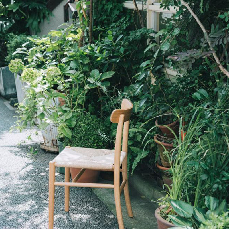 MARUNI COLLECTION(マルニコレクション)Lightwood ライトウッド チェア