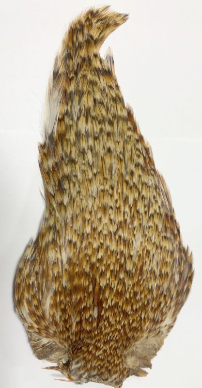 コックハックルケープ、インドケープ