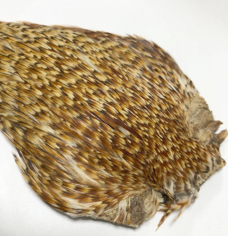 コックハックルケープ、インドケープ