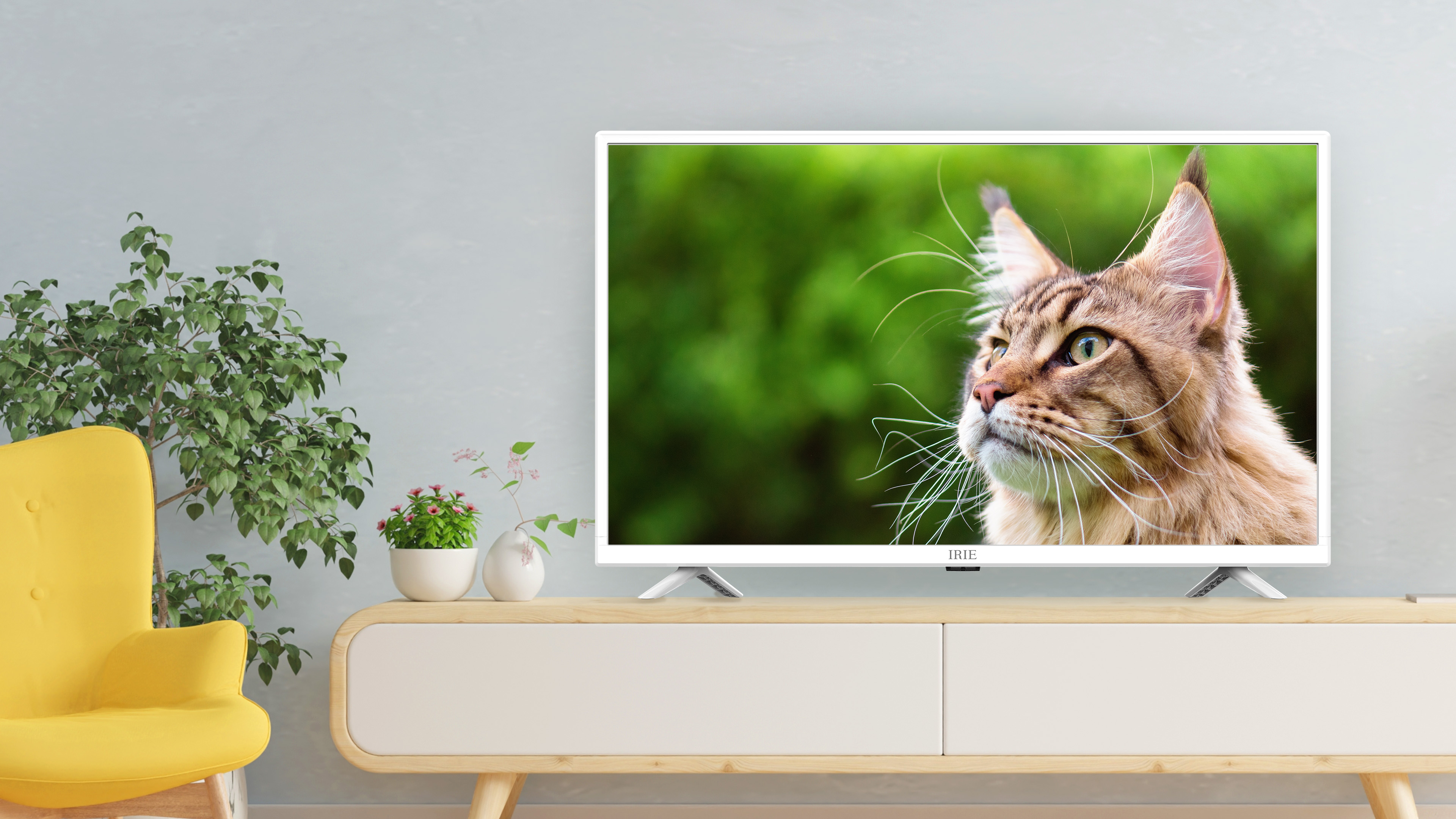 テレビ FFF-TV32WWH2 | FFF SMART LIFE CONNECTED株式会社