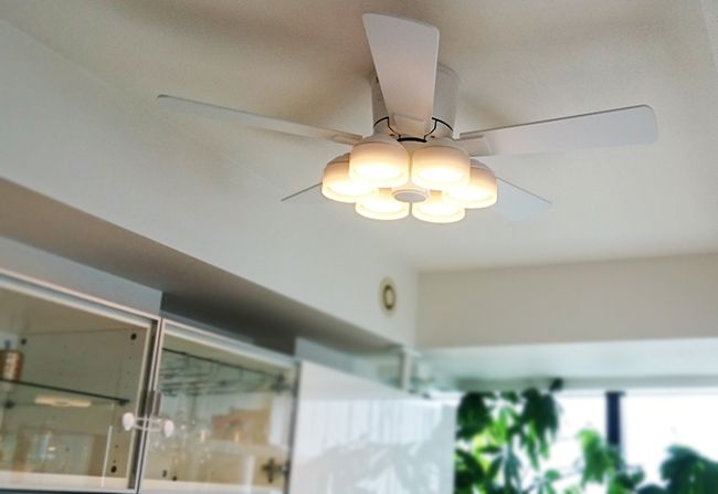 オーデリック製シーリングファンライト【OFE015】【生産終了品