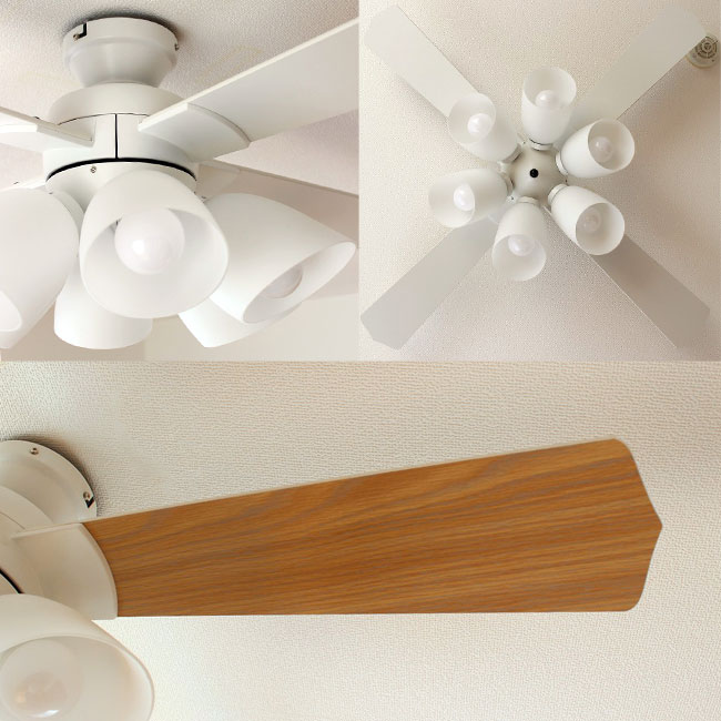 6灯 東京メタル工業製シーリングファンライト【MFE008】｜<公式