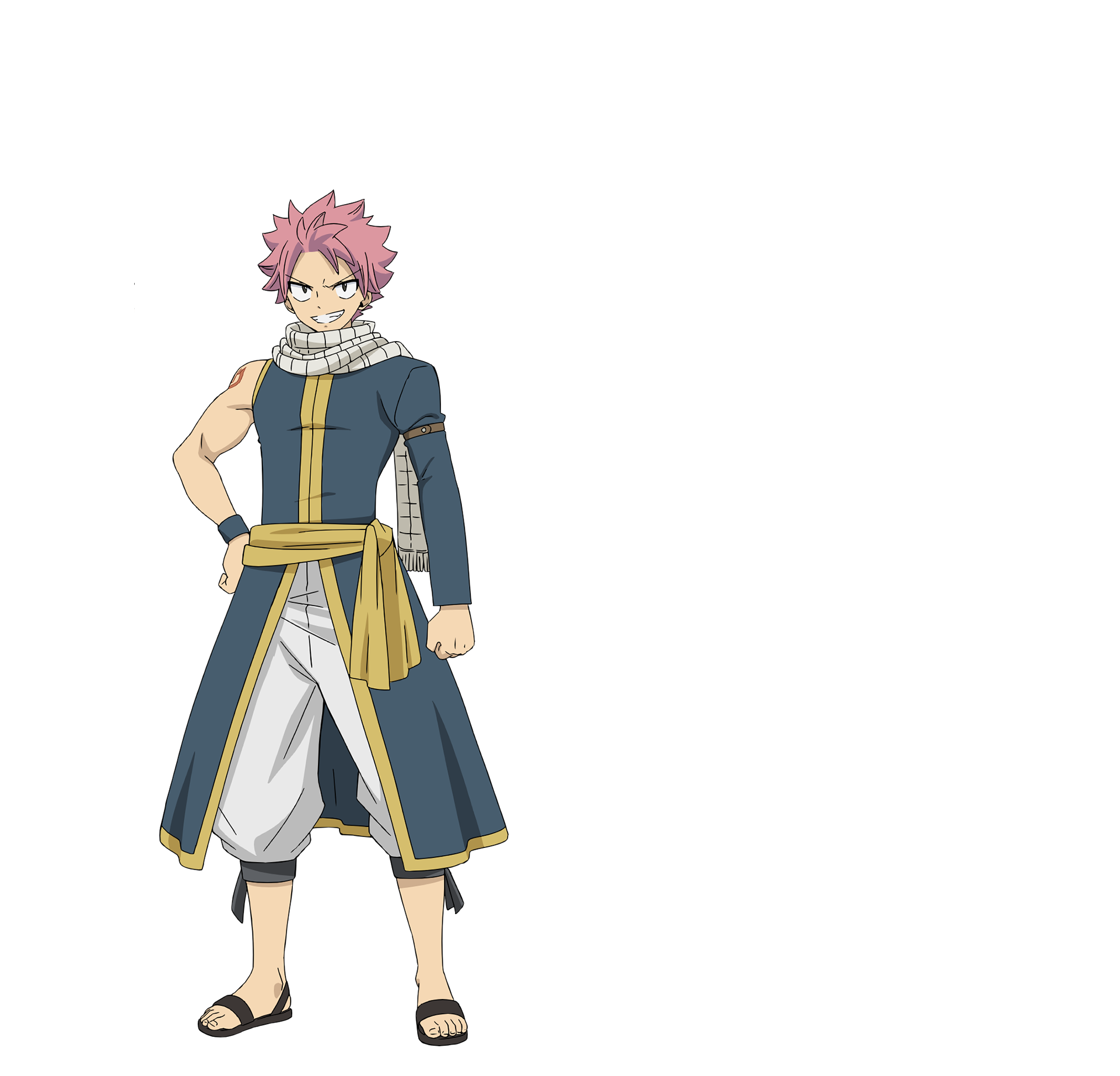 NATSU DRAGNEEL - TVアニメ『FAIRY TAIL 100年クエスト』公式サイト