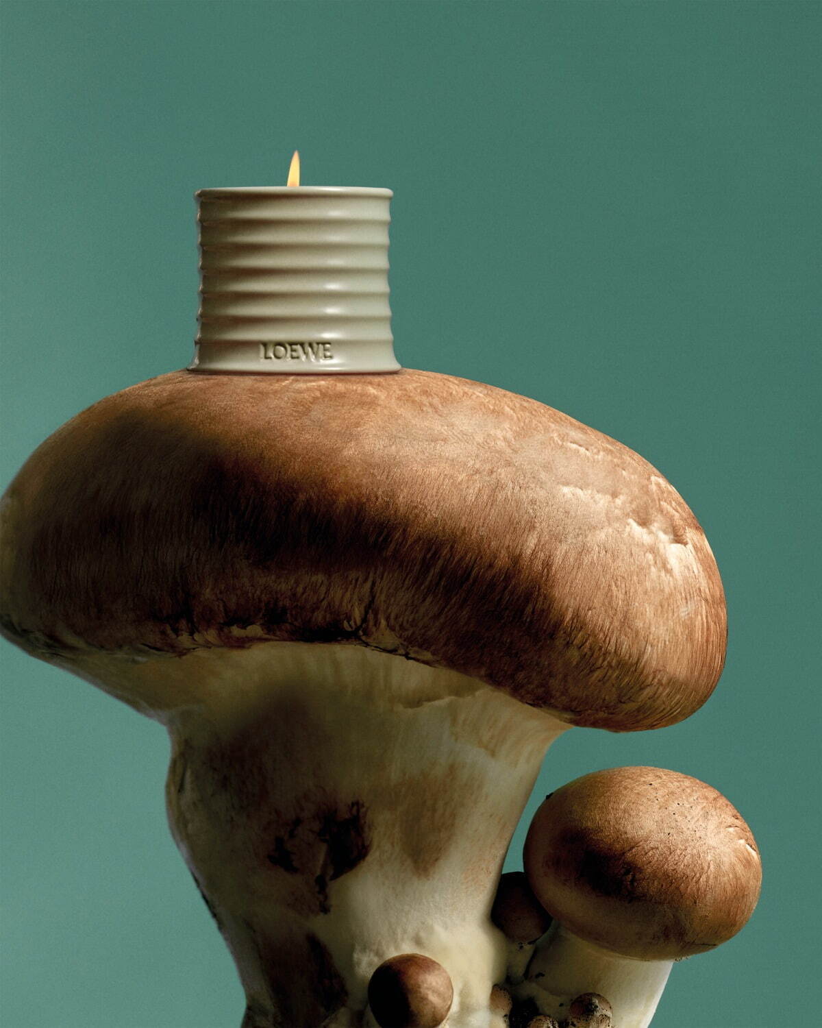 ロエベ フレグランスに「ヘーゼルナッツ」「マッシュルーム」の新たな