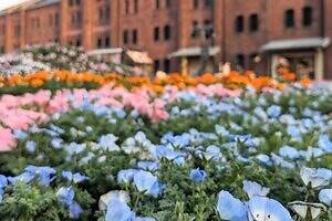 阿部 高大さん｜原宿ストリートスナップ - ファッションプレス