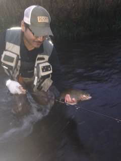 十勝鱒竿 -橋本 直紀- | つるや釣具店