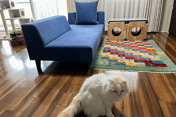 PIVO 3人掛け | お客様の声 | ソファ専門店FLANNEL SOFA