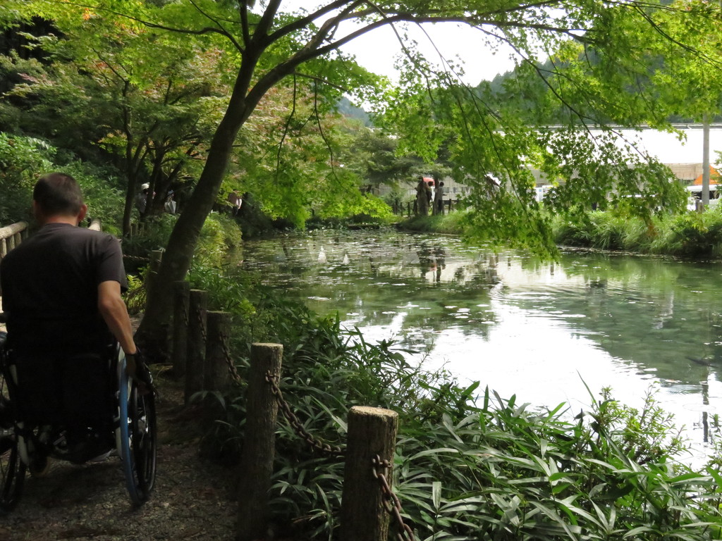 名もなき池（モネの池） - ふらっと旅レポ - ふらっと旅ぎふ