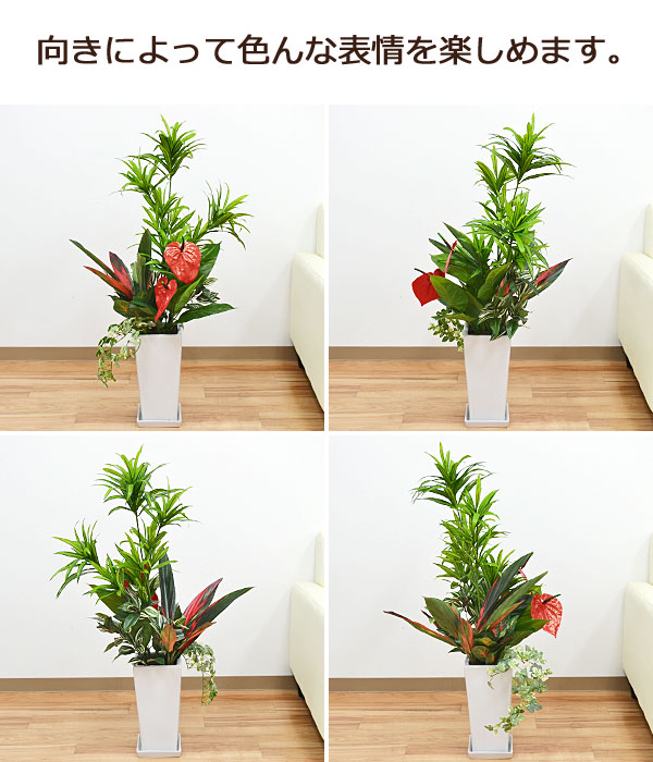 観葉植物の販売・ギフトならフラワーコーポレーション / 人工観葉植物