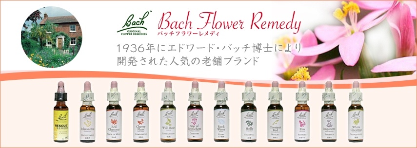 バッチフラワーレメディ,38種フラワーエッセンス(シロップ)｜フラワー