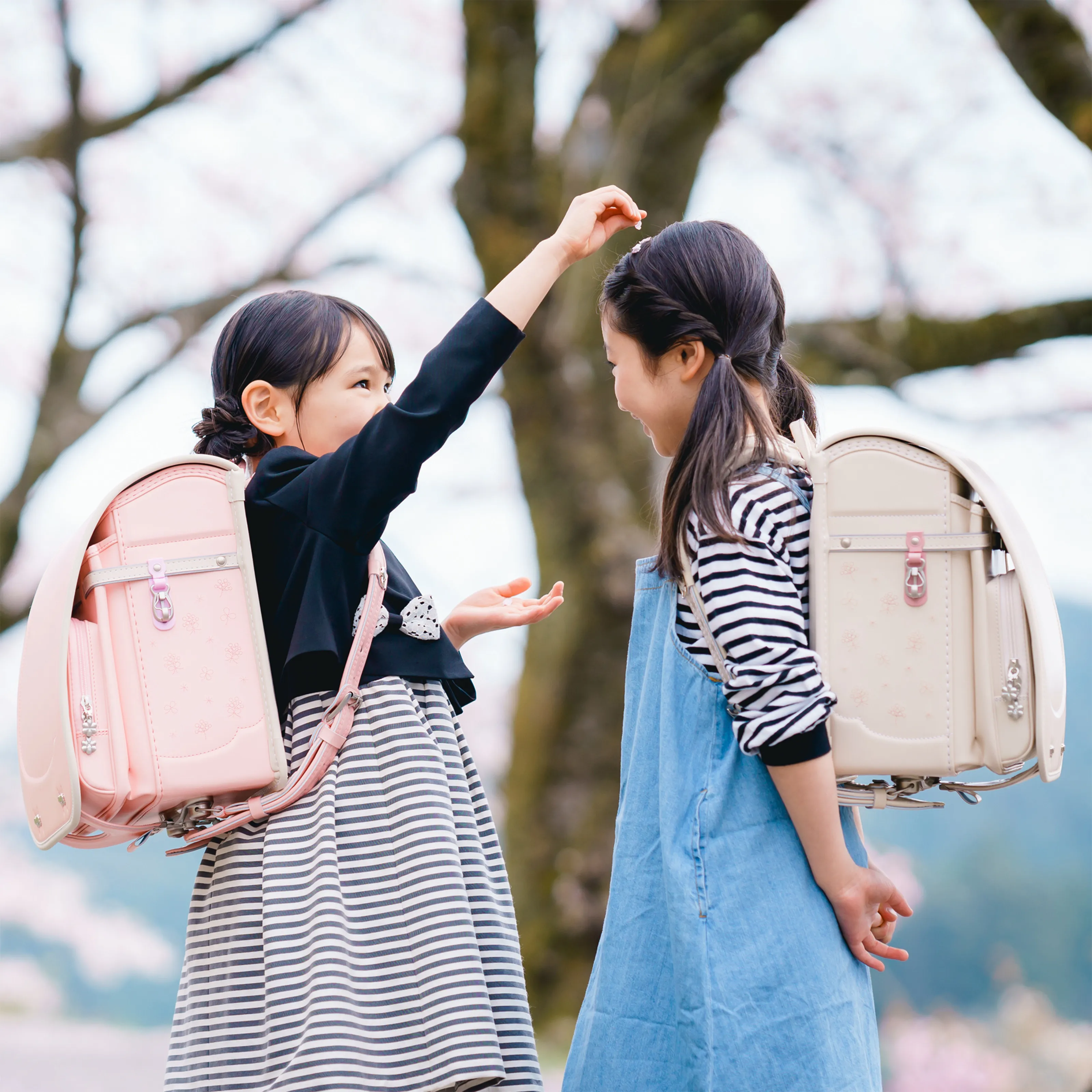 シュシュ・フローラ／安ピカッ／楽ッション フィットちゃんランドセル