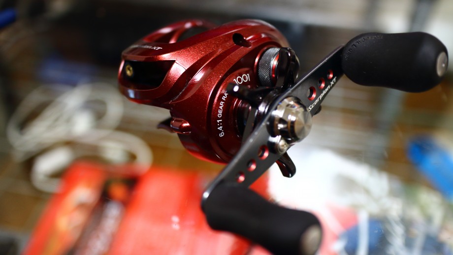 水面があるとのぞいてしまう】 10スコーピオンXT 1001 ハイギア化