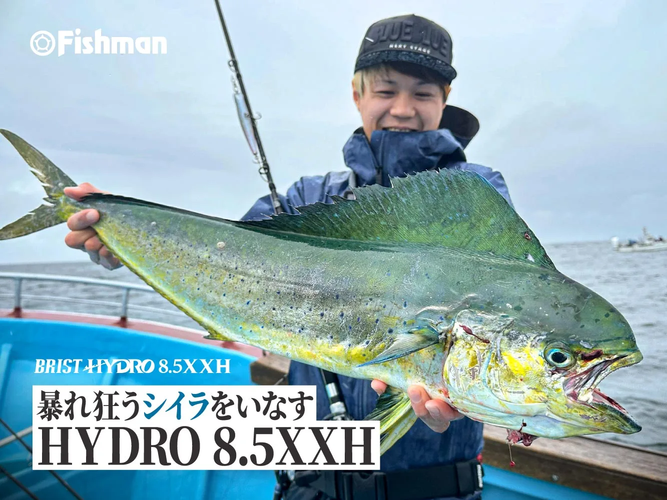 298e3e2bb5a4410bbc77fb4bfd6401