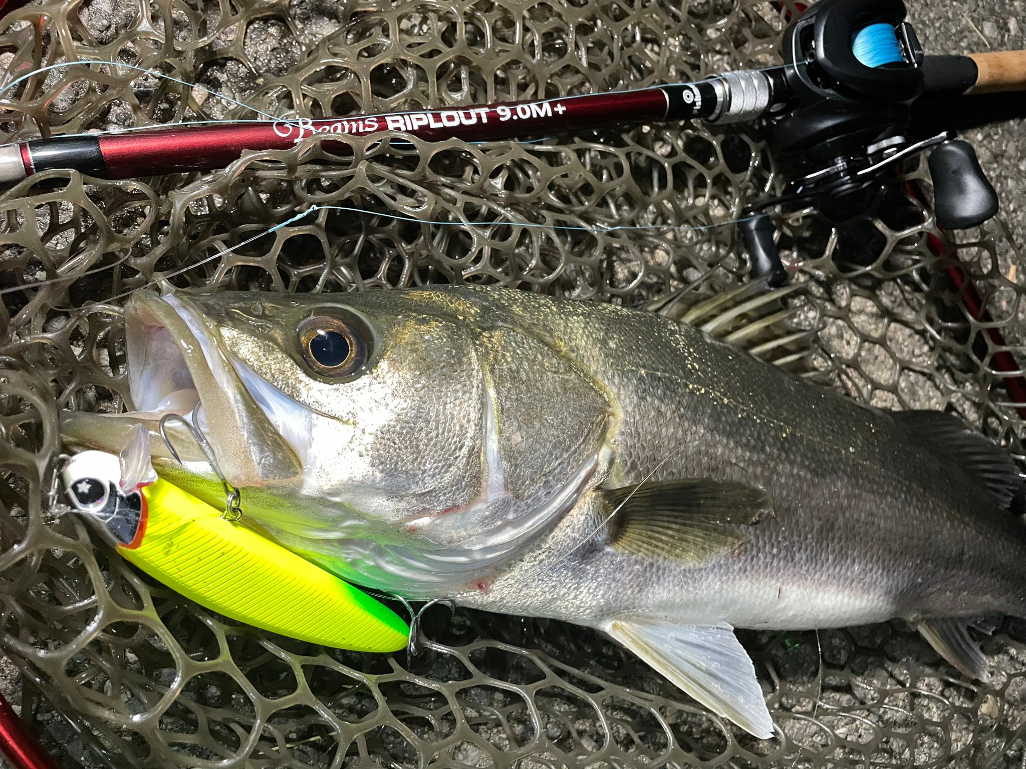 Beams RIPLOUT9.0M+」を東京湾奥で投げ尽くす！ - Fishman（フィッシュ