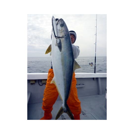 軽量 強靭 湧き上がるパワーを体感 魚拓,中古釣具,釣具,釣り具