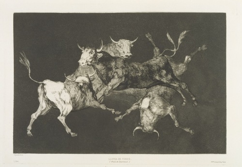 フランシスコ・デ・ゴヤ・イ・ルシエンテス | 作品を知る | 東京富士