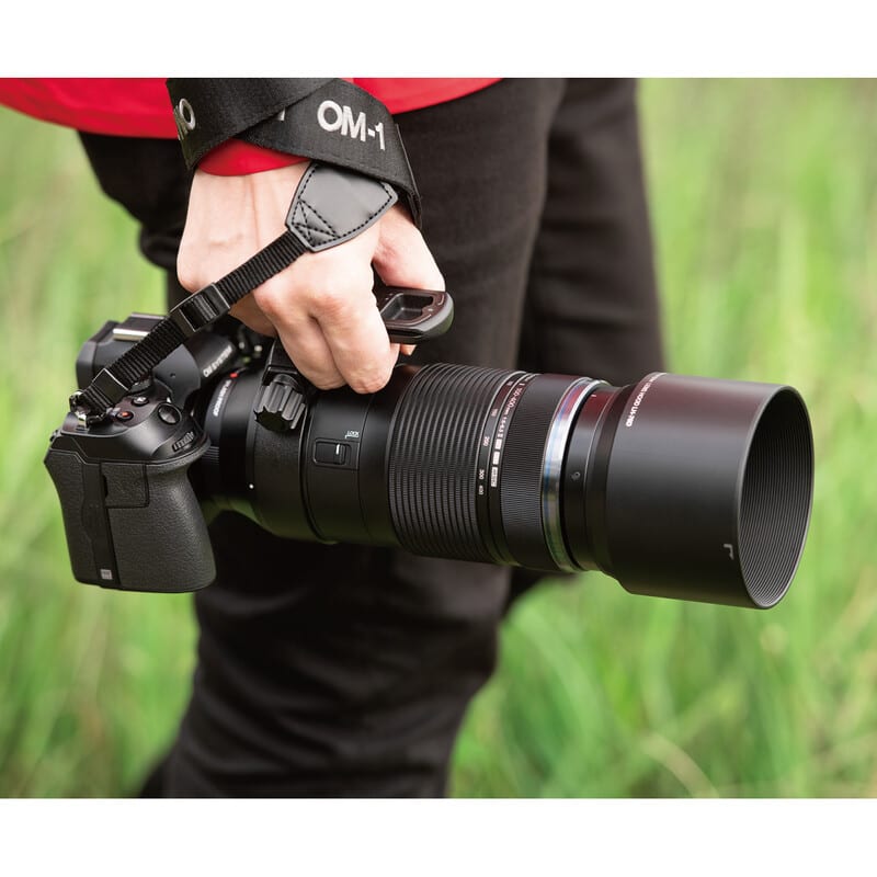 OLYMPUS／OM SYSTEM OM SYSTEM M.ZUIKO DIGITAL ED 100-400mm F5.0-6.3