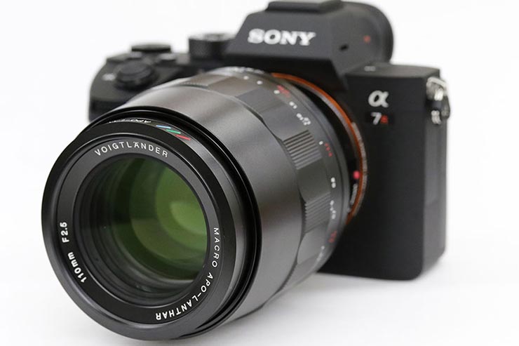 Voigtlander MACRO APO-LANTHAR 110mm F2.5 E-mount 実写レビュー