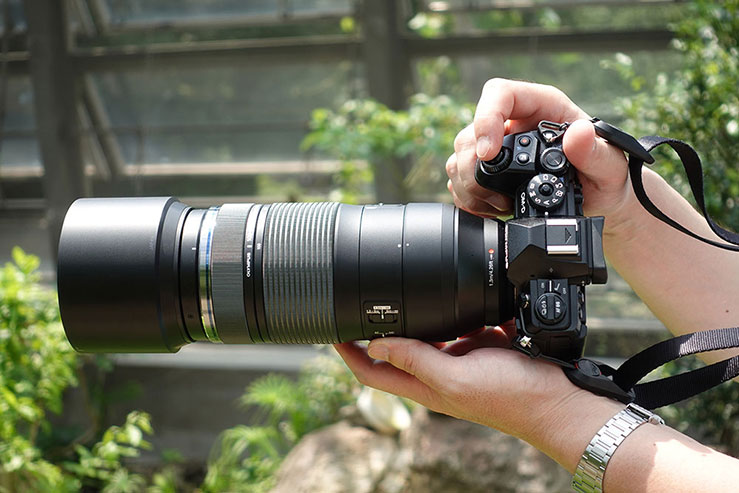 OLYMPUS M.ZUIKO DIGITAL ED 100-400mm F5.0-6.3 IS 実写レビュー