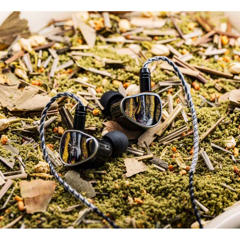 Kiwi Ears Etude 新品｜フジヤエービック